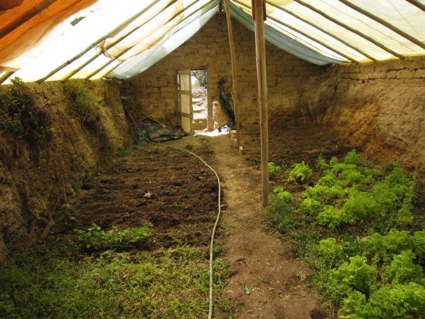 underground greenhouse walpini