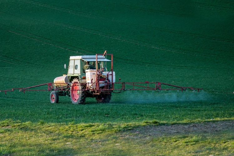 herbicide glyphosate kills
