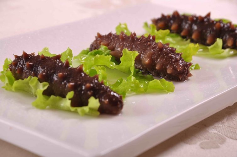 sea cucumber delicacy in japan