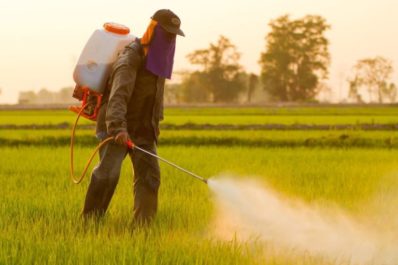 Farmer spraying roundup herbicide on genetically modified food crops