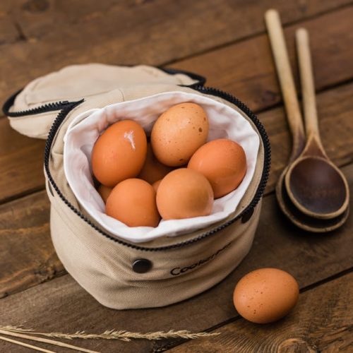 chicken eggs cholesterol healthy