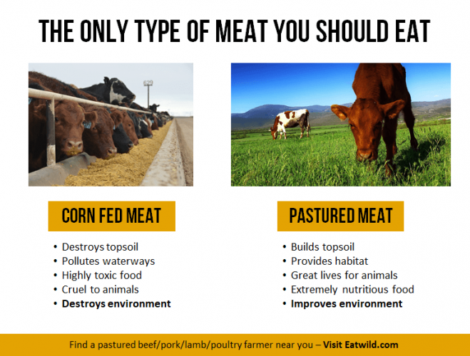 Corn fed vs grass fed pastured meat raw meat
