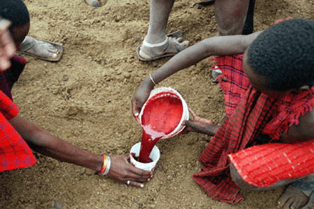 Maasai hunter gatherers preparing the milk and blood drink 