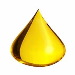 omega-6 droplet released as free fatty acids into the blood during stress and fasting