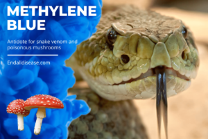 Methylene Blue Antidote for Snake Venom (1)